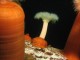 Thumbs/tn_DSechelt 048.jpg